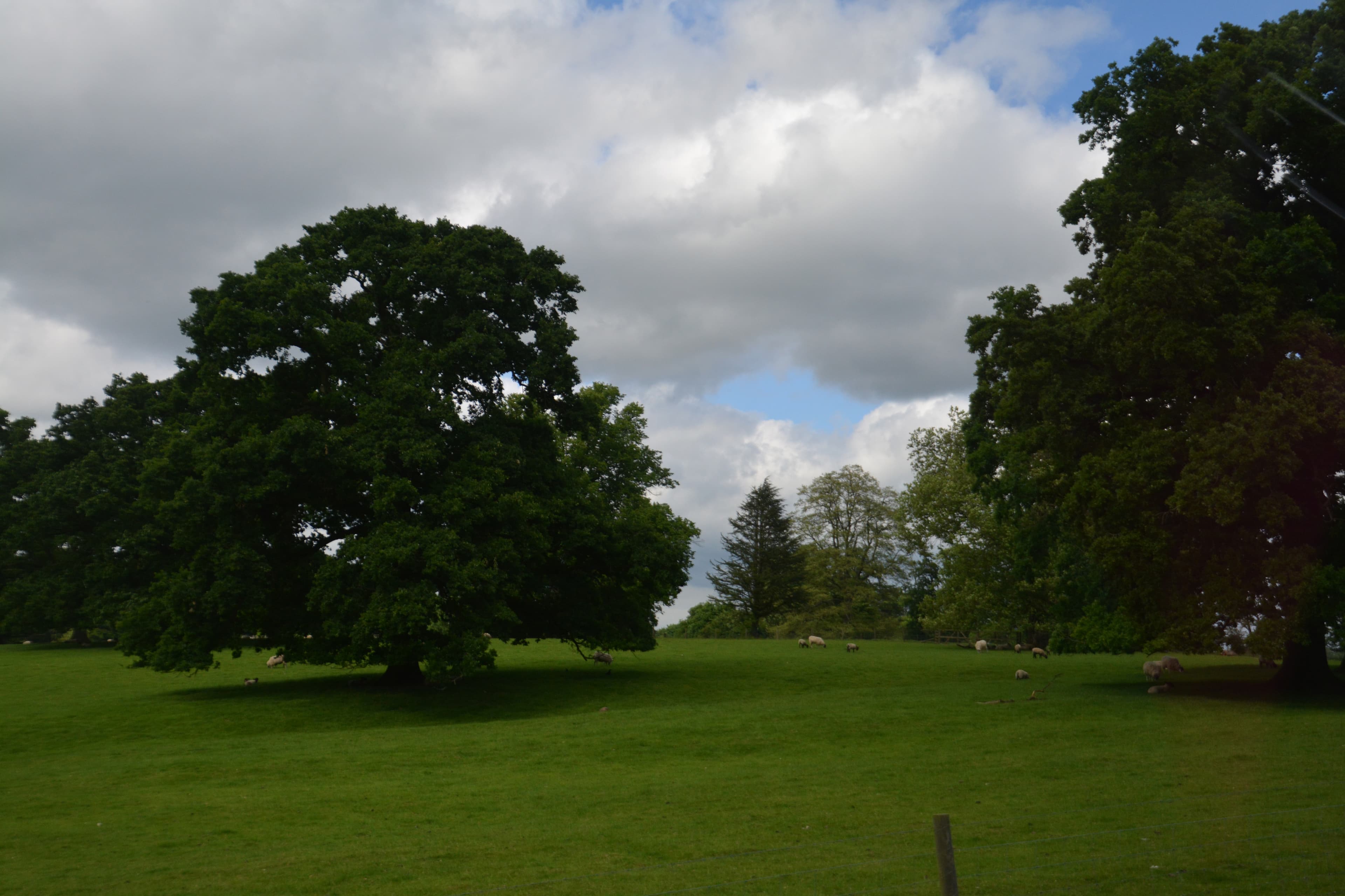 Burghclere, Basingstoke and Deane
