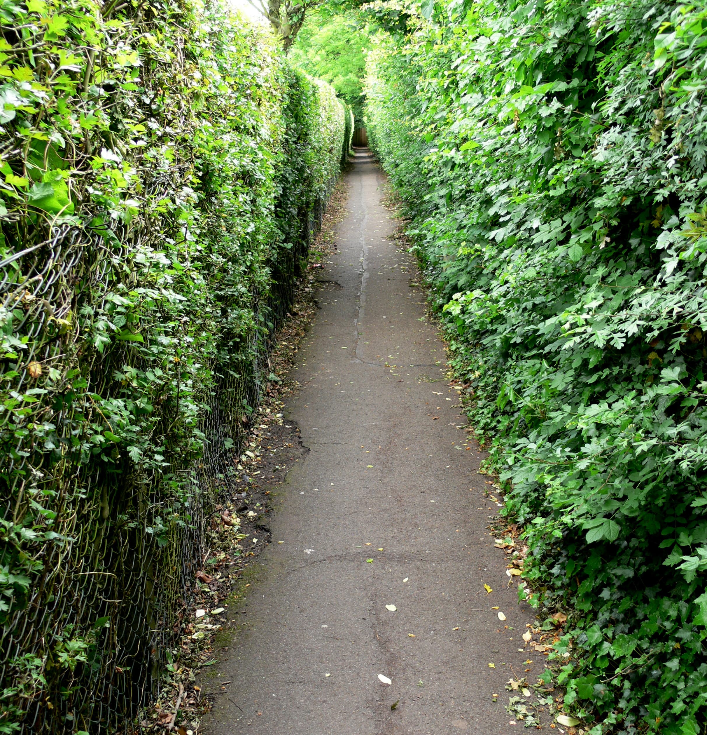 Sapcote, Blaby