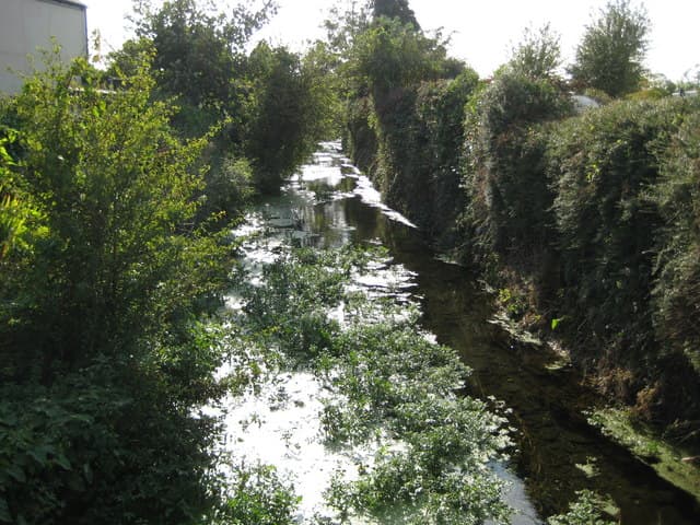 Lyminster, Arun