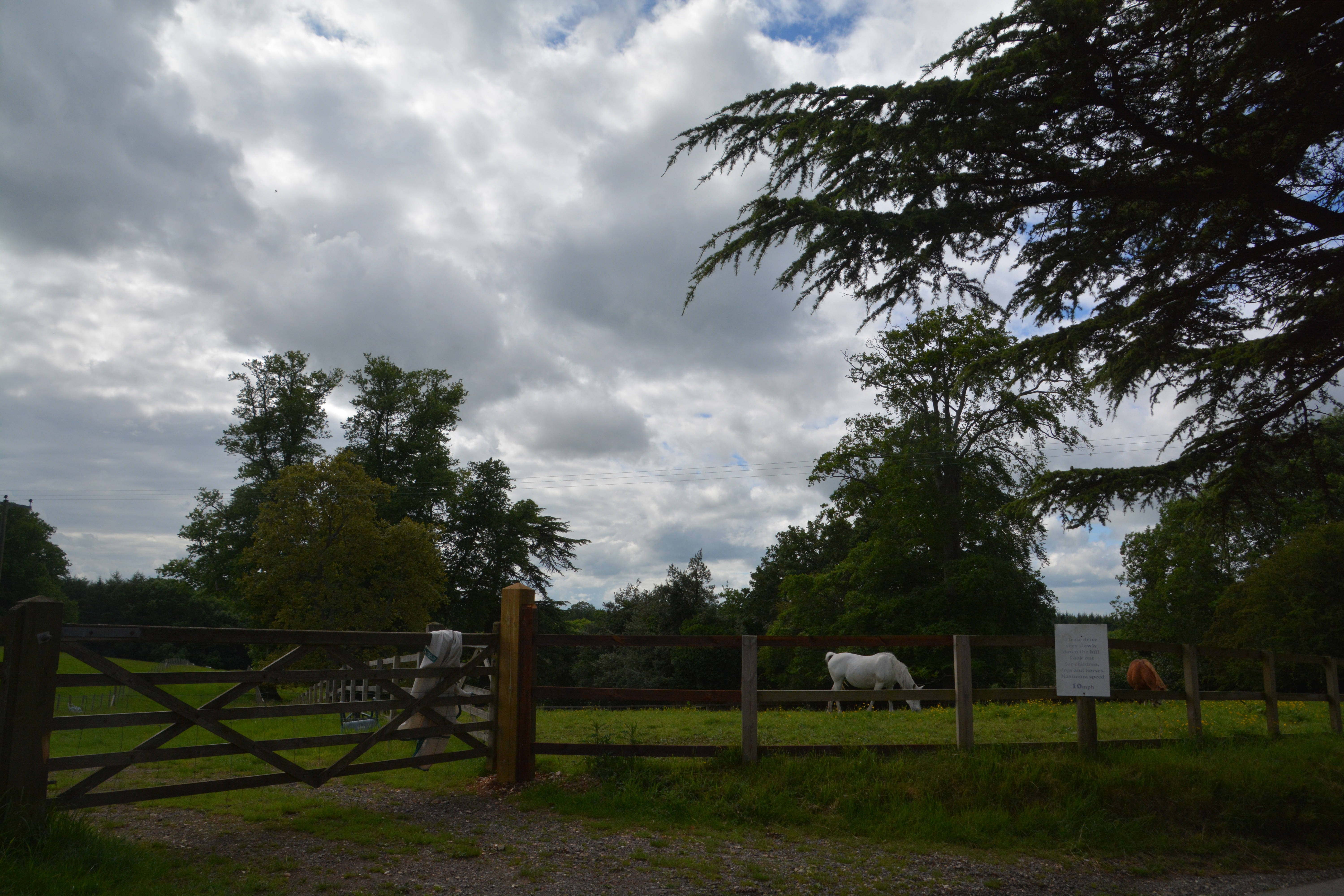 Hatch Warren, Basingstoke and Deane
