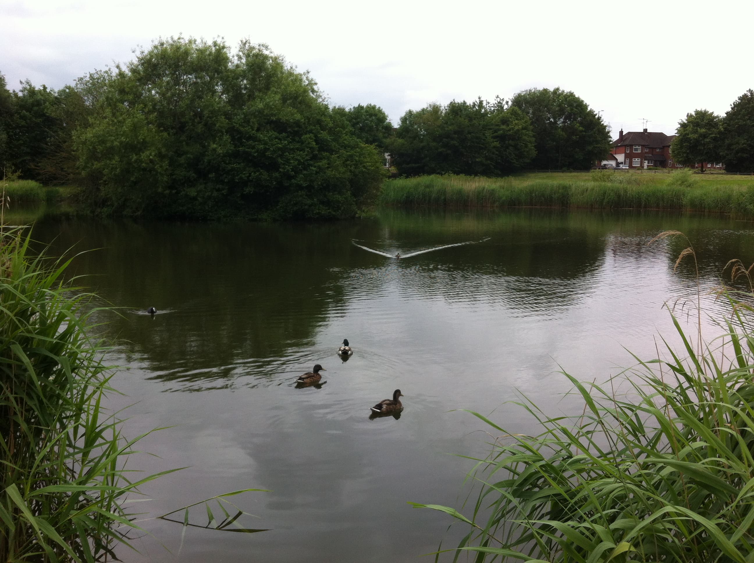 Bablake, Nuneaton and Bedworth