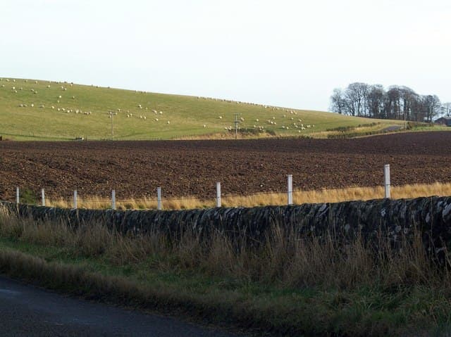 Arbirlot, Angus
