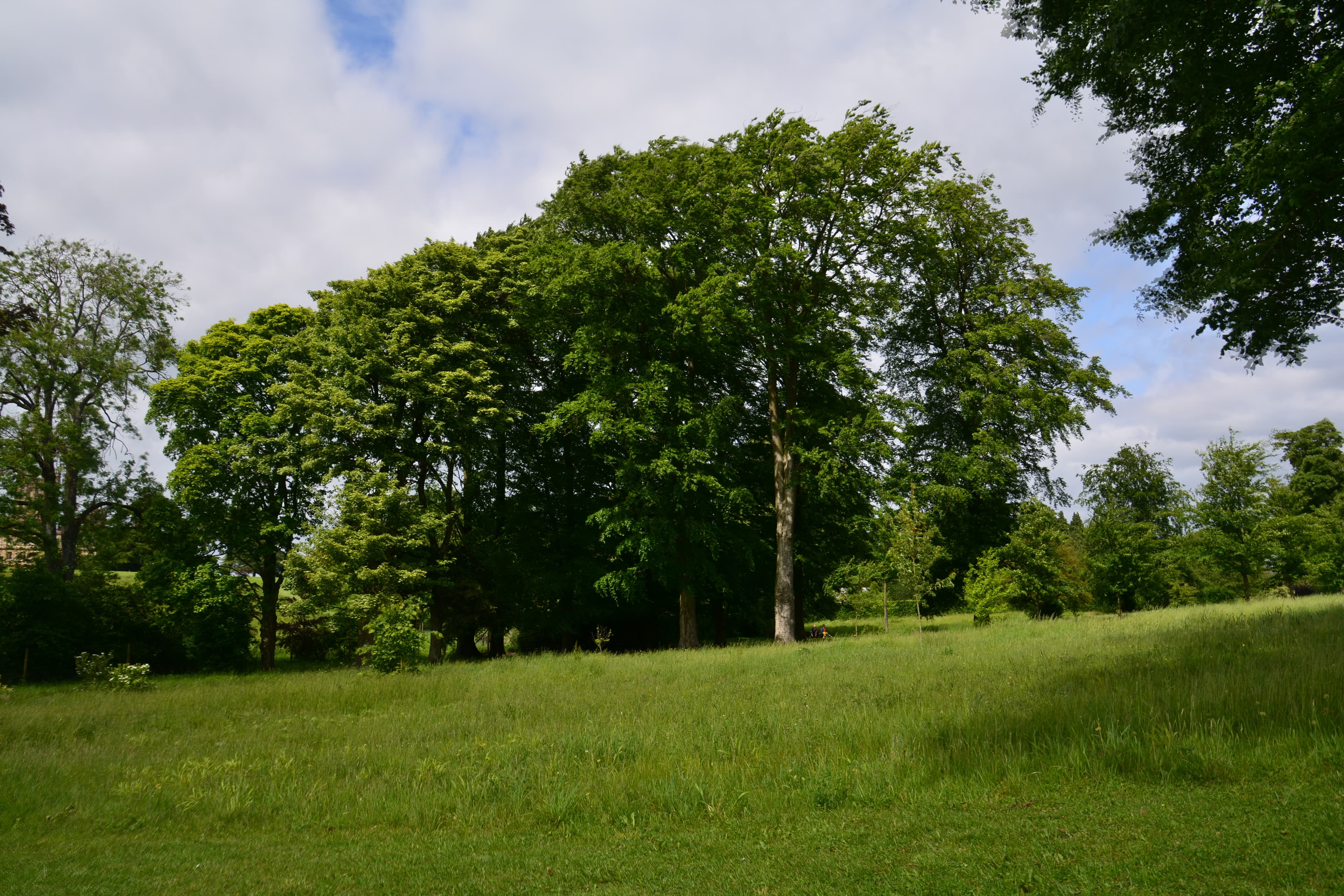 Oakley, Basingstoke and Deane