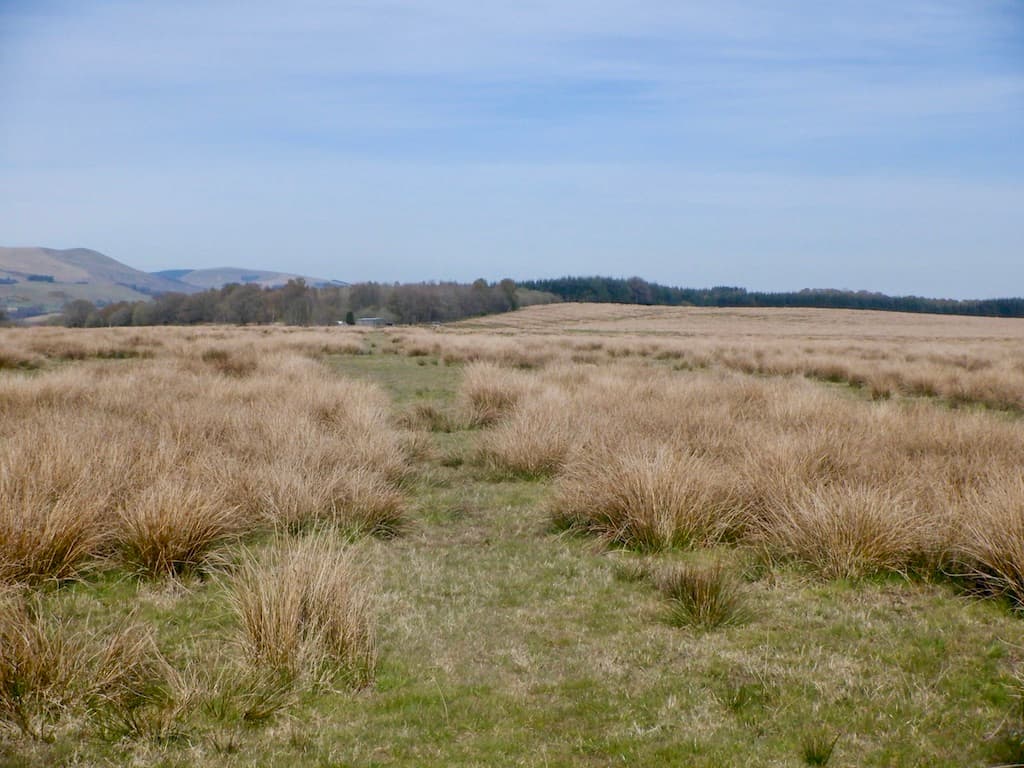 Alloa, Clackmannanshire
