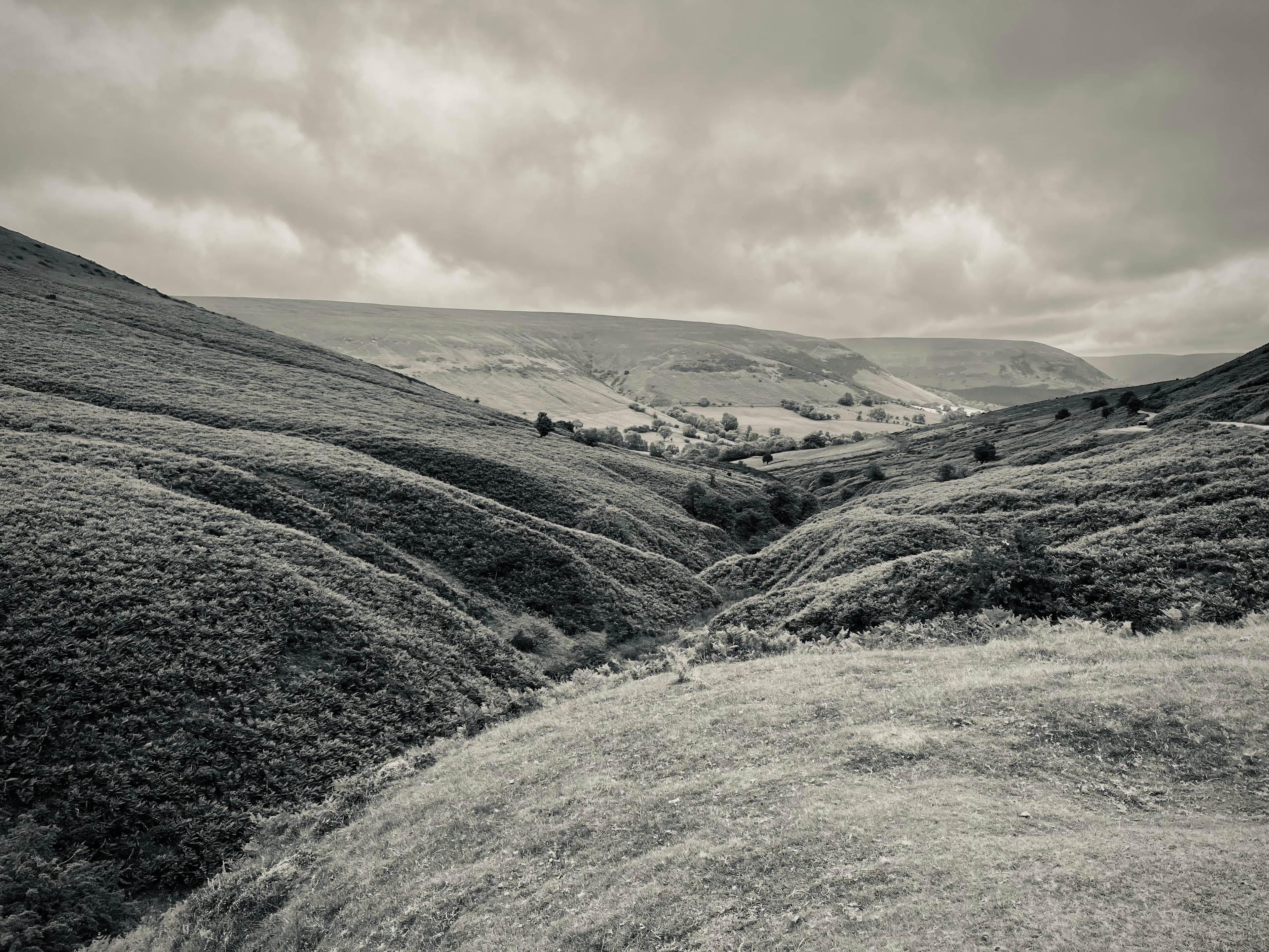 Newtown West, Powys
