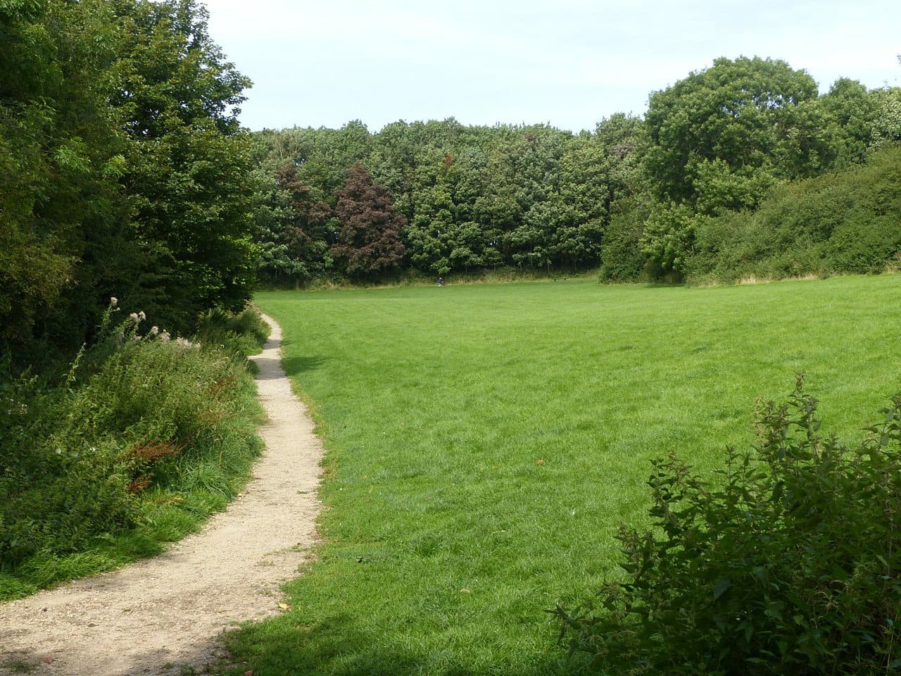 Carlton, Gedling