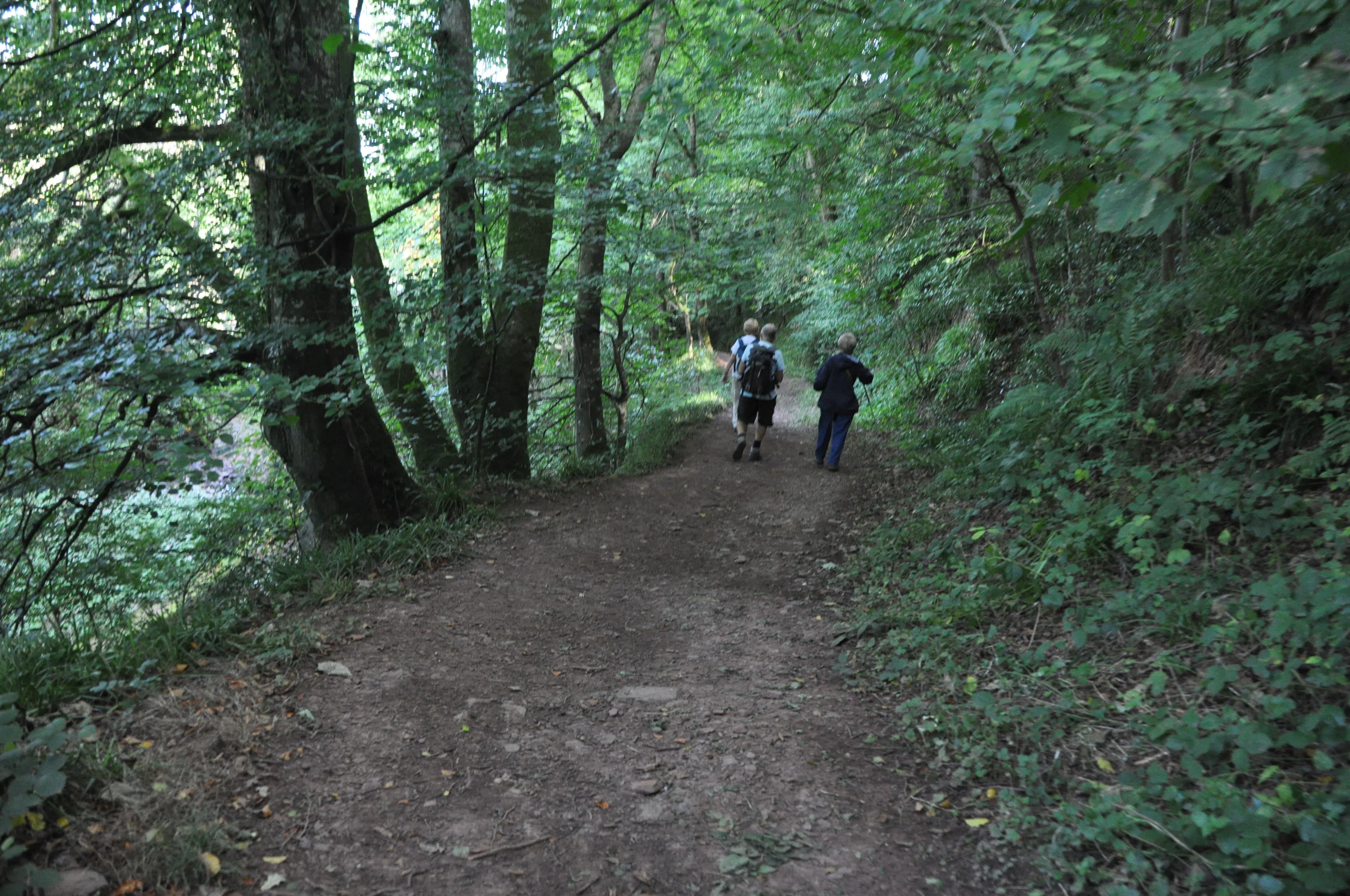Clare & Shuttern, Mid Devon