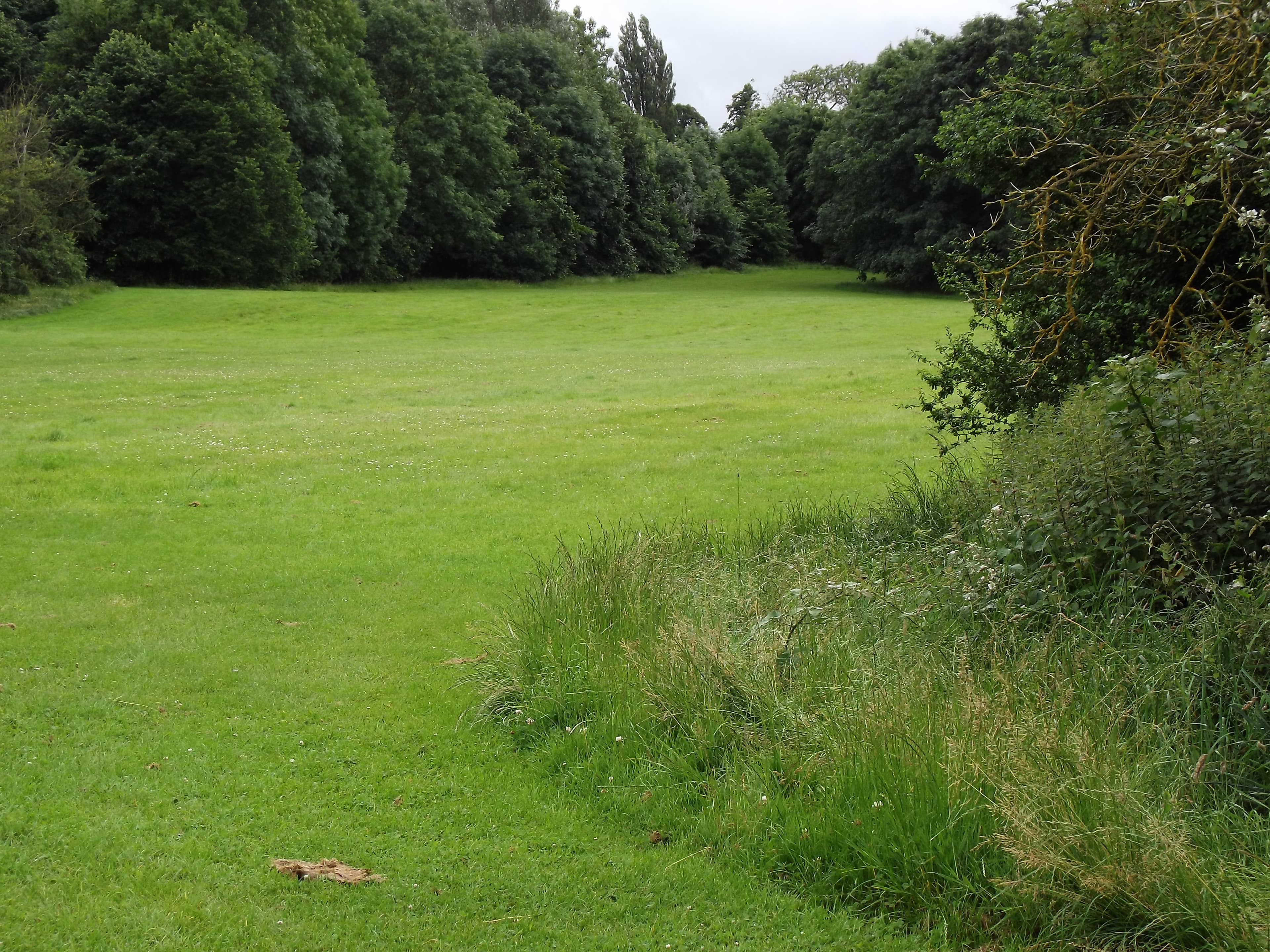 College, Epsom and Ewell